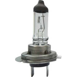 Ampoule UNIVERSEL B2438