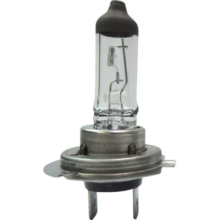 Ampoule UNIVERSEL B2438
