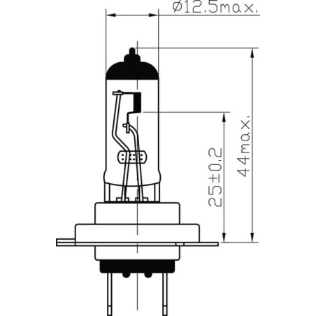 Ampoule UNIVERSEL B2438