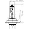 Ampoule UNIVERSEL B2438