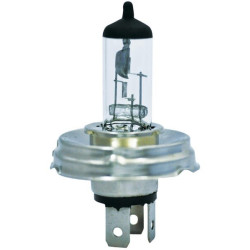 Ampoule UNIVERSEL B1254