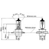 Ampoule UNIVERSEL B1254