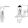 Ampoule UNIVERSEL B1210