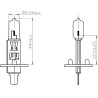 Ampoule UNIVERSEL B1208