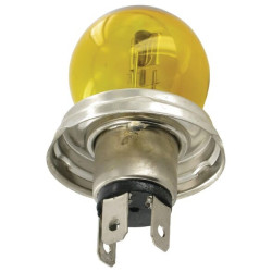 Ampoule SAFRA GL12018