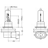 Ampoule UNIVERSEL B1232