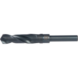 Forêt 20,0mm DORMER A170200