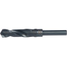 Forêt 20,0mm DORMER A170200