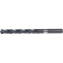 Forêt 10,0mm DORMER A108100