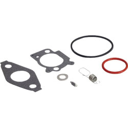 Kit révision carburateur BRIGGS ET STRATTON 592483