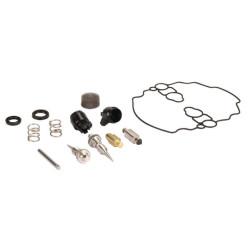 Kit remise en état carburateur BRIGGS ET STRATTON 842873
