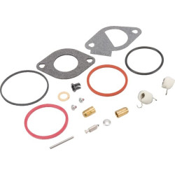 Kit remise en état carburateur BRIGGS ET STRATTON 796185