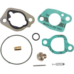 Kit remise en état carburateur BRIGGS ET STRATTON 592423