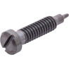 Kit pointeau ralenti BRIGGS ET STRATTON 494383