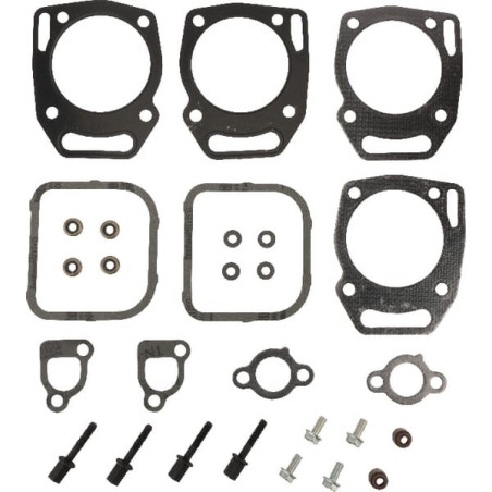 Kit joints soupapes BRIGGS ET STRATTON 841191