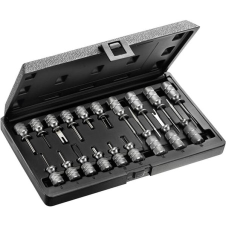 Kit d'outils d'extraction EXPERT E201801