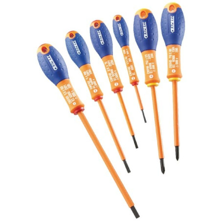 Kit de tournevis EXPERT E160910