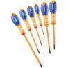 Kit de tournevis EXPERT E160910