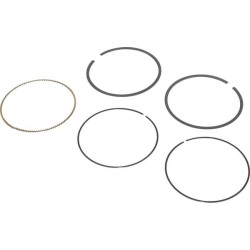 Kit de segments BRIGGS ET STRATTON 797011