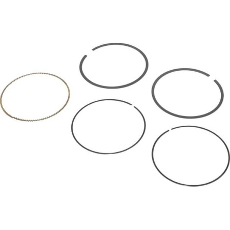Kit de segments BRIGGS ET STRATTON 797011