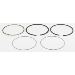 Kit de segments BRIGGS ET STRATTON 795690