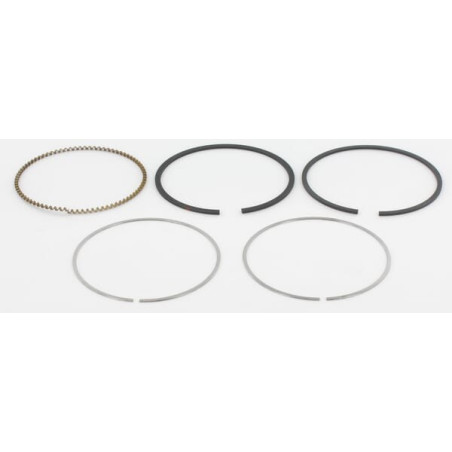 Kit de segments BRIGGS ET STRATTON 795690
