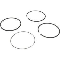 Kit de segments BRIGGS ET STRATTON 694004