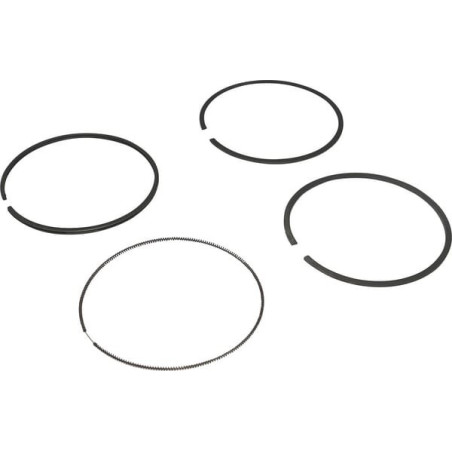 Kit de segments BRIGGS ET STRATTON 694004