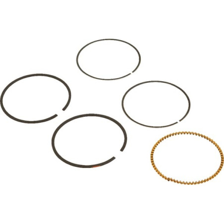 Kit de segments BRIGGS ET STRATTON 590523