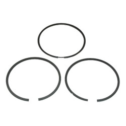 Kit de segments BRIGGS ET STRATTON 499425