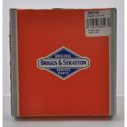 Kit de segments BRIGGS ET STRATTON 298746