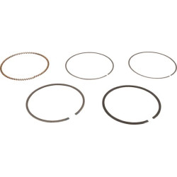 Kit de segments BRIGGS ET STRATTON 843806