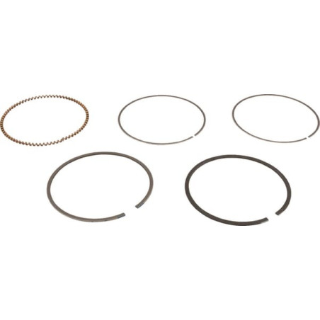Kit de segments BRIGGS ET STRATTON 843806