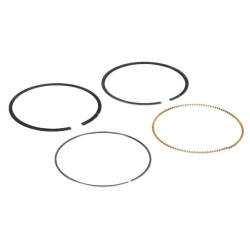 Kit de segments BRIGGS ET STRATTON 594437