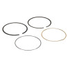 Kit de segments BRIGGS ET STRATTON 594437