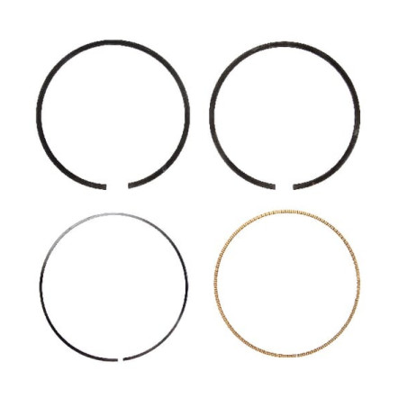 Kit de segments BRIGGS ET STRATTON 594437