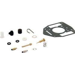 Kit de réparation carburateur BRIGGS ET STRATTON 809021