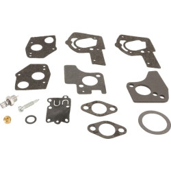 Kit de réparation carburateur BRIGGS ET STRATTON 495606