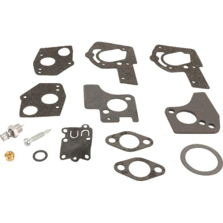 Kit de réparation carburateur BRIGGS ET STRATTON 495606