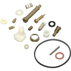 Kit de réparation carburateur BRIGGS ET STRATTON 494839