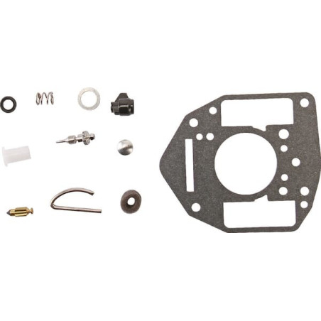 Kit de réparation carburateur BRIGGS ET STRATTON 842881