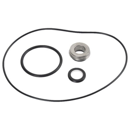 Kit de joints pour WP365 BRIGGS ET STRATTON 198158GS