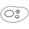 Kit de joints pour WP365 BRIGGS ET STRATTON 198158GS