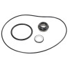 Kit de joints pour WP365 BRIGGS ET STRATTON 198158GS