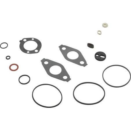 Kit de joints pour carburateur BRIGGS ET STRATTON 797635