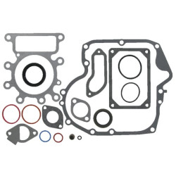 Kit de joints moteur BRIGGS ET STRATTON 798540