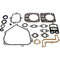 Kit de joints BRIGGS ET STRATTON 791797