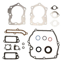 Kit de joints BRIGGS ET STRATTON 590508