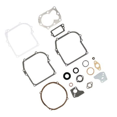 Kit de joint moteur BRIGGS ET STRATTON 795971