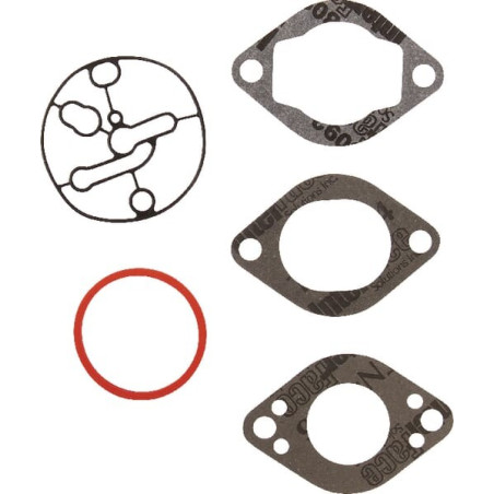 Kit carburateur BRIGGS ET STRATTON 696146